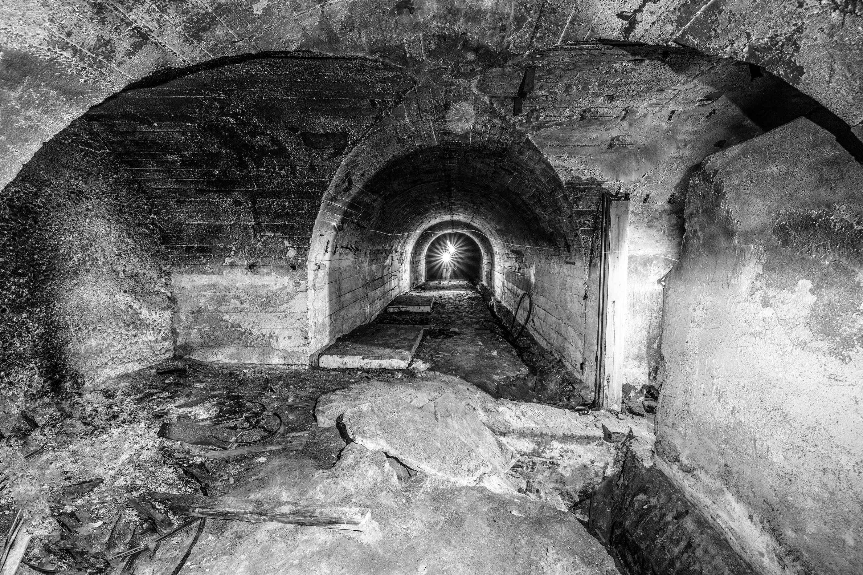 🕊️ 특공비 공원 (톳코히 코엔) 이미지 7